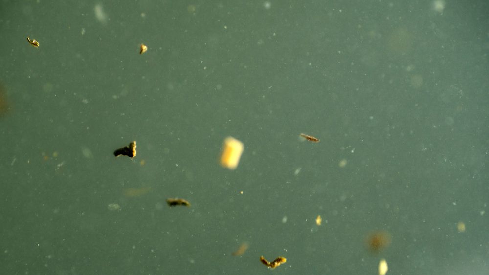 สารแขวนลอยในโรงงานคือปัญหาที่ส่งผลเสียต่อธุรกิจ