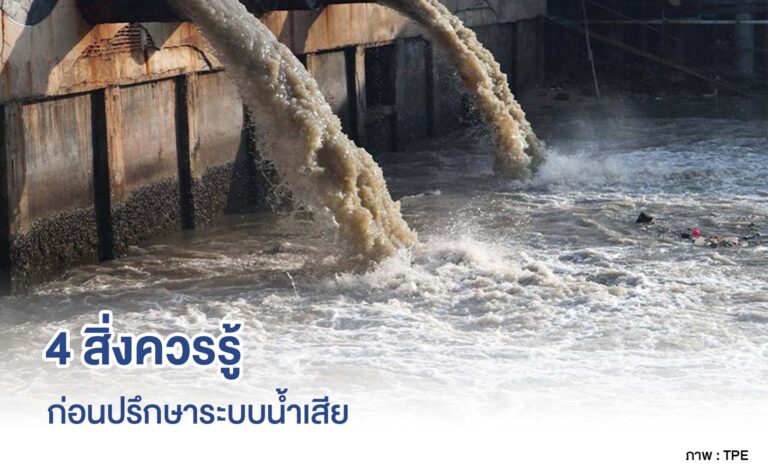 ปก