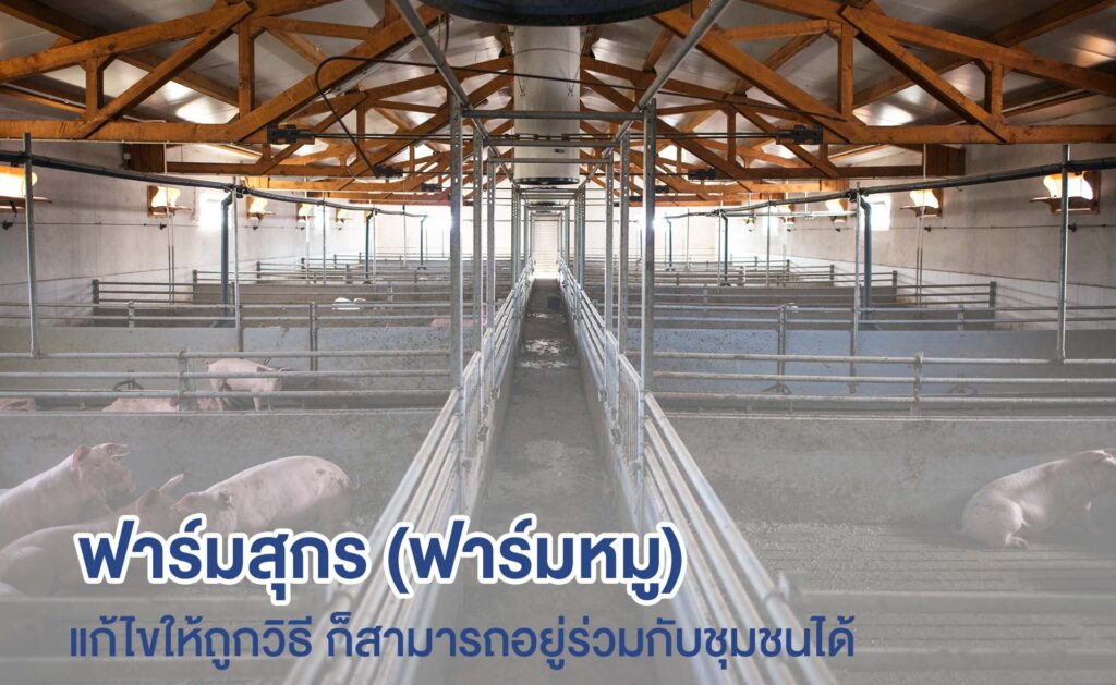 หน้าปก เว็บ Recovered Copy