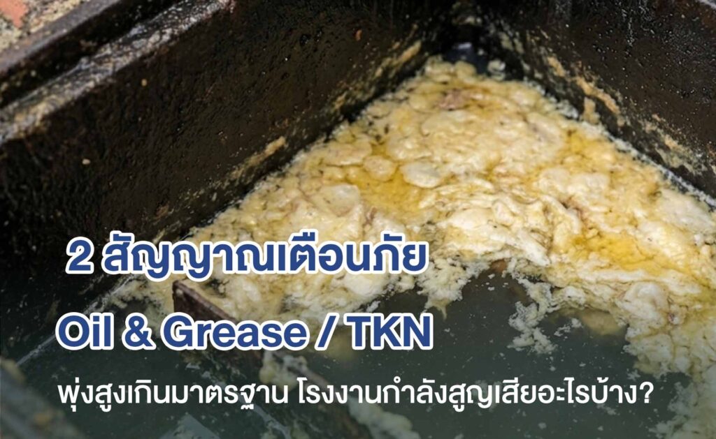 หน้าปก เว็บ Recovered Copy