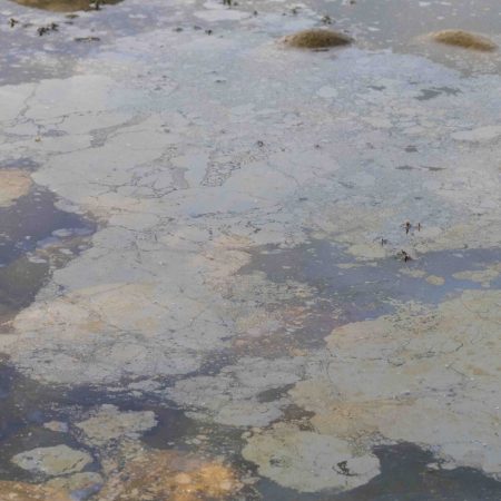 Water Surface Polluted With Oil